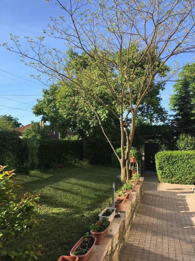 Byala Residence Apartments المظهر الخارجي الصورة